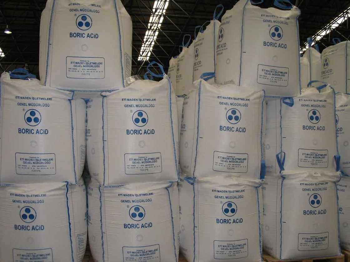 Where to buy boric acid Where to buy boric acid