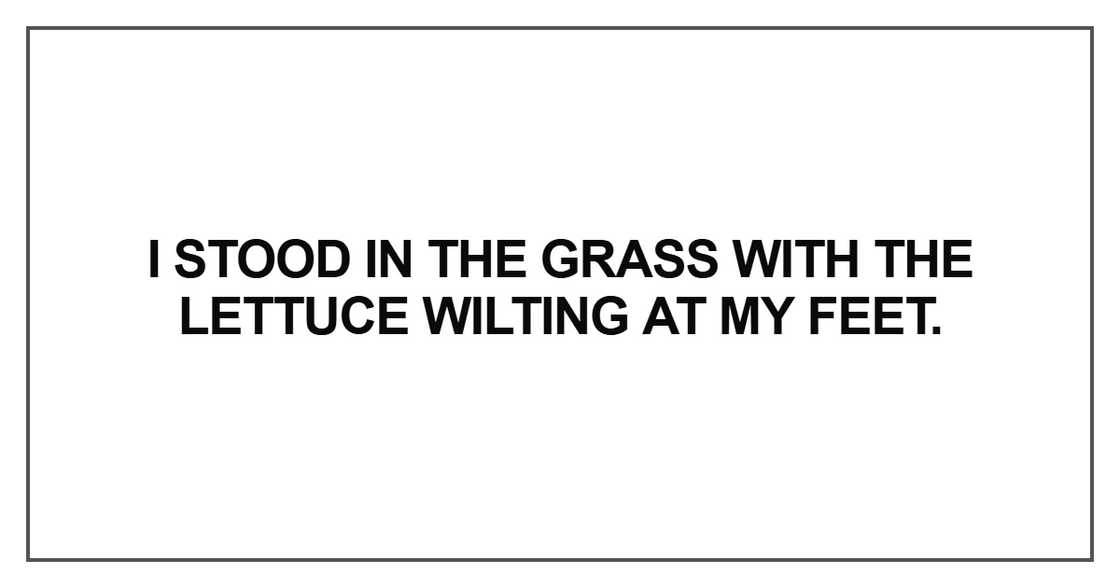 I stood in the grass with the lettuce