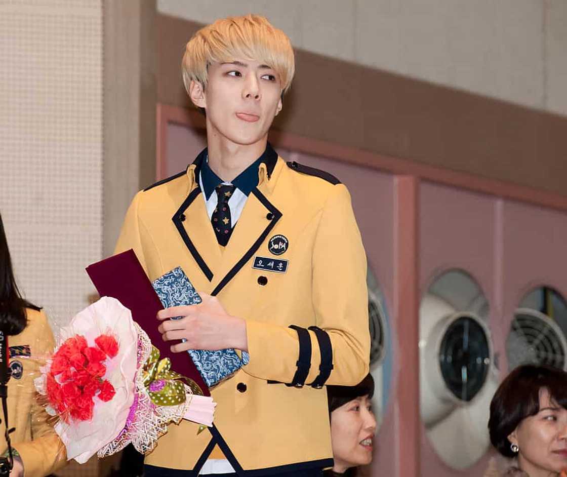 EXO members height EXO members height