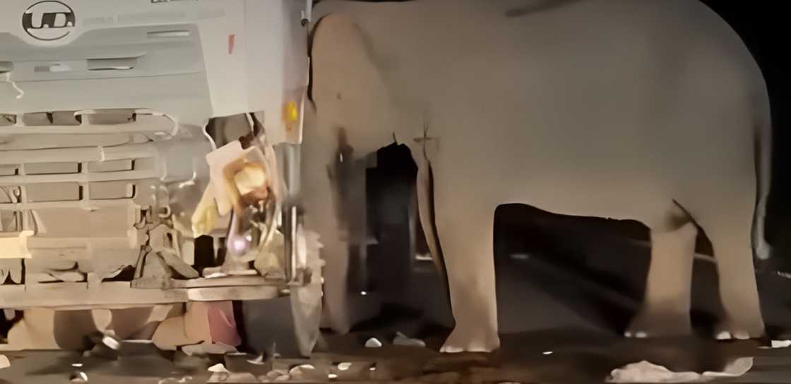 Photo: Screengrab from GMA News Photo: Screengrab from GMA News