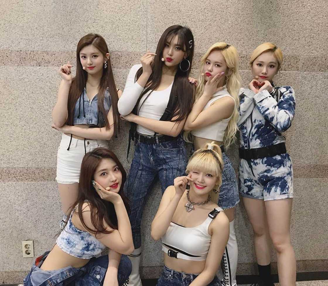 Everglow members profile Everglow members profile