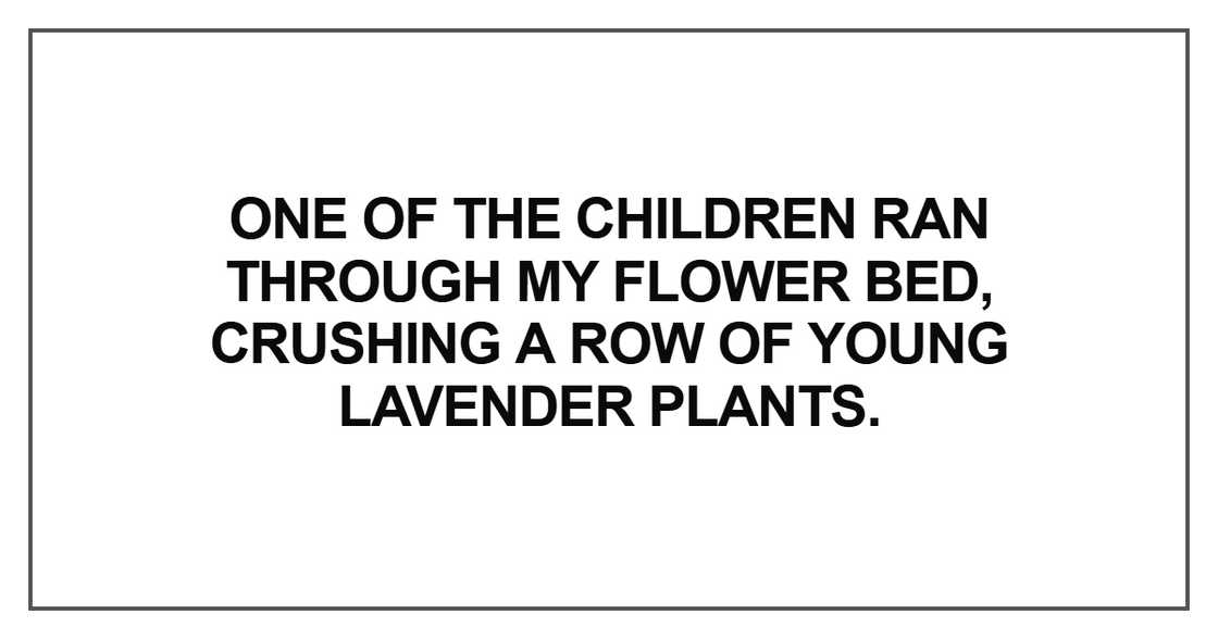 One of the children ran through my flower bed