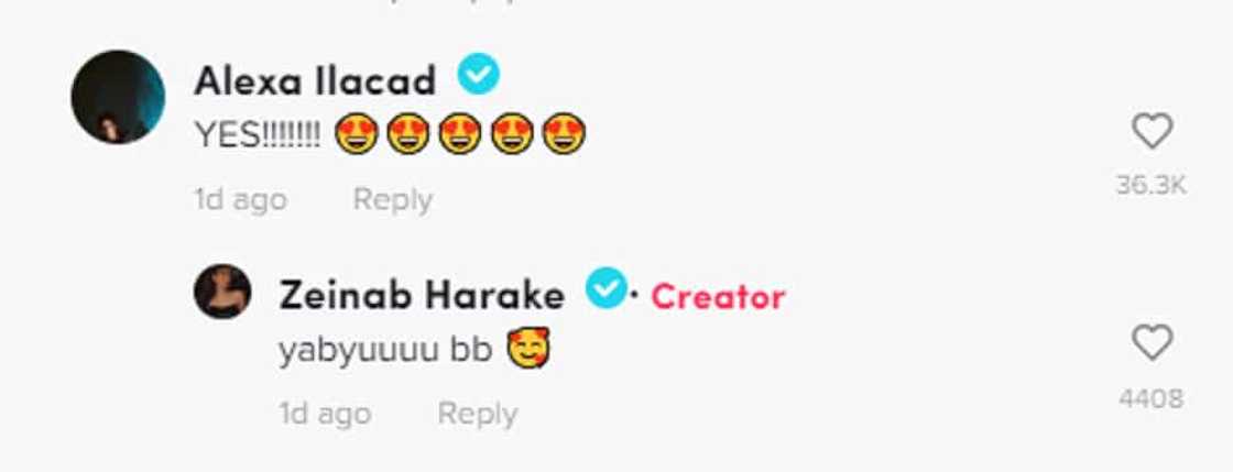 Zeinab Harake/@zeinabharake on TikTok Zeinab Harake/@zeinabharake on TikTok