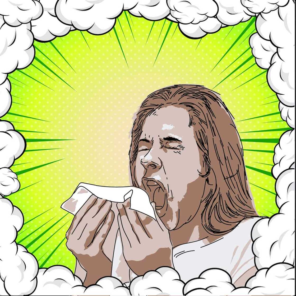 symptoms hantavirus symptoms hantavirus