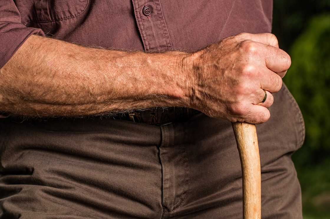 Close-up of an elderly man’s hand gripping a wooden walking cane.