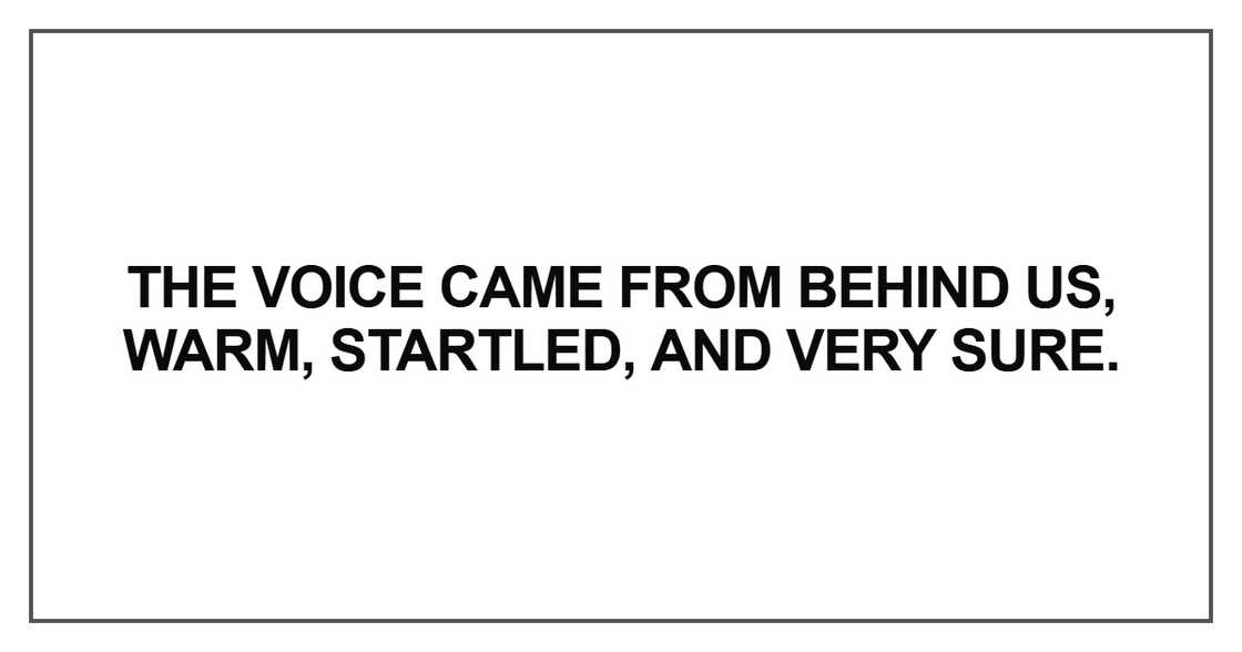 The voice came from behind us