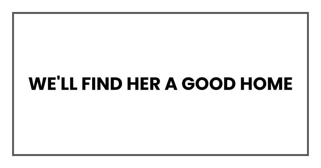 We'll find her a good home