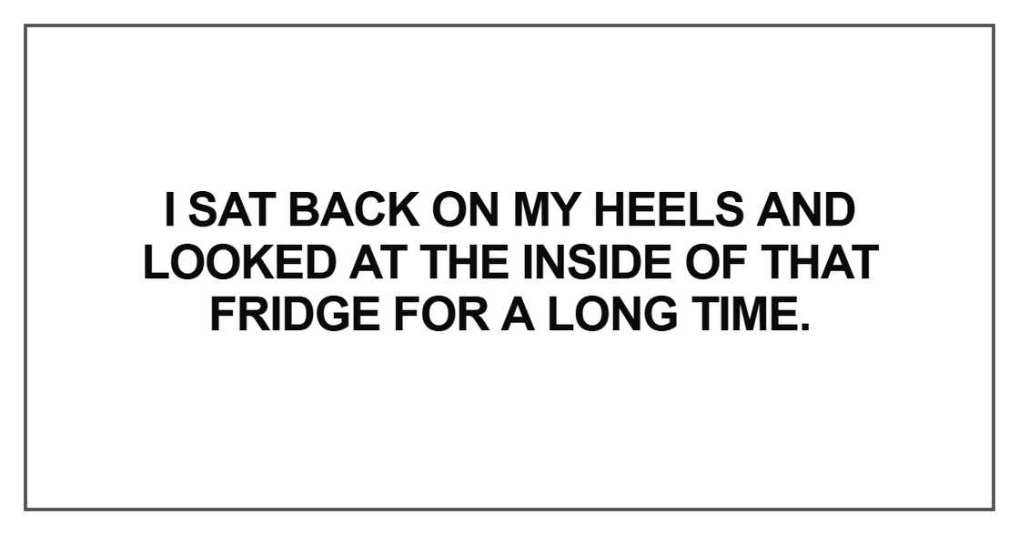 I sat back on my heels and looked at the inside of that fridge