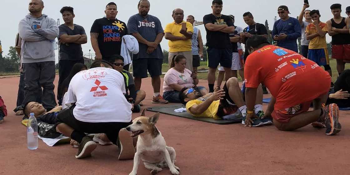 Aso at training partner ni Manny Pacquiao, namatay nang masagasaan sa GenSan Aso at training partner ni Manny Pacquiao, namatay nang masagasaan sa GenSan