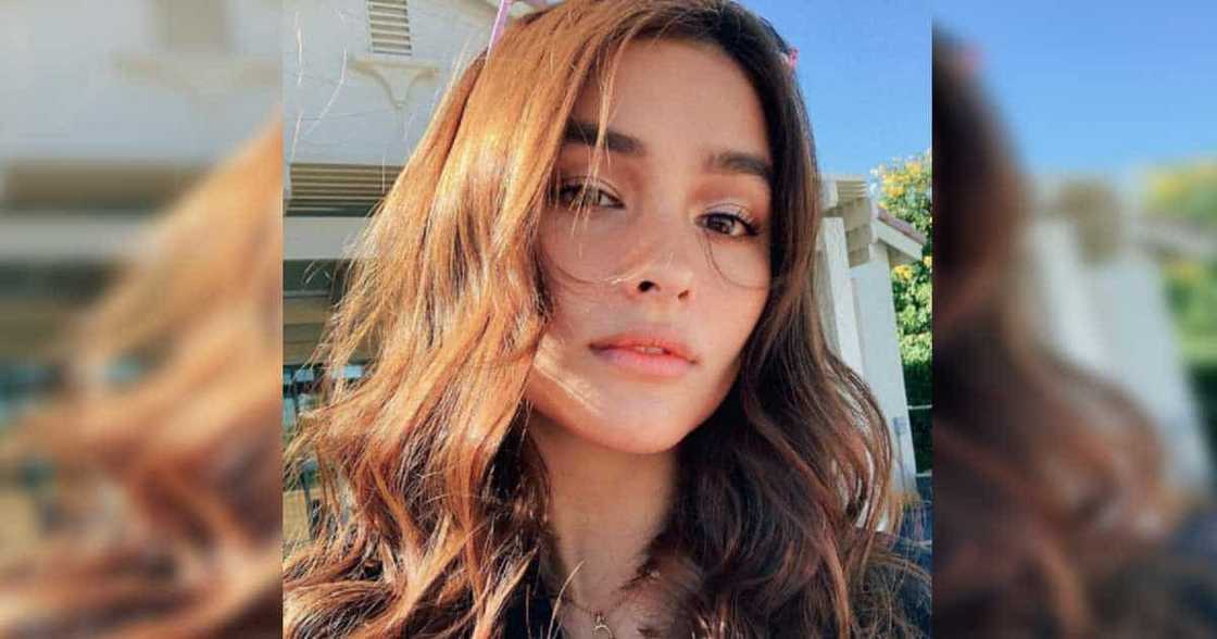 Netizen slams Liza Soberano for comparing PH and US but actress fires back eloquently Netizen slams Liza Soberano for comparing PH and US but actress fires back eloquently