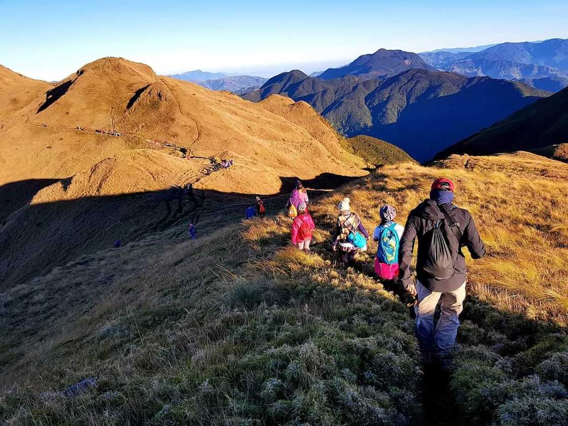 Mt. Pulag National Park Mt. Pulag National Park