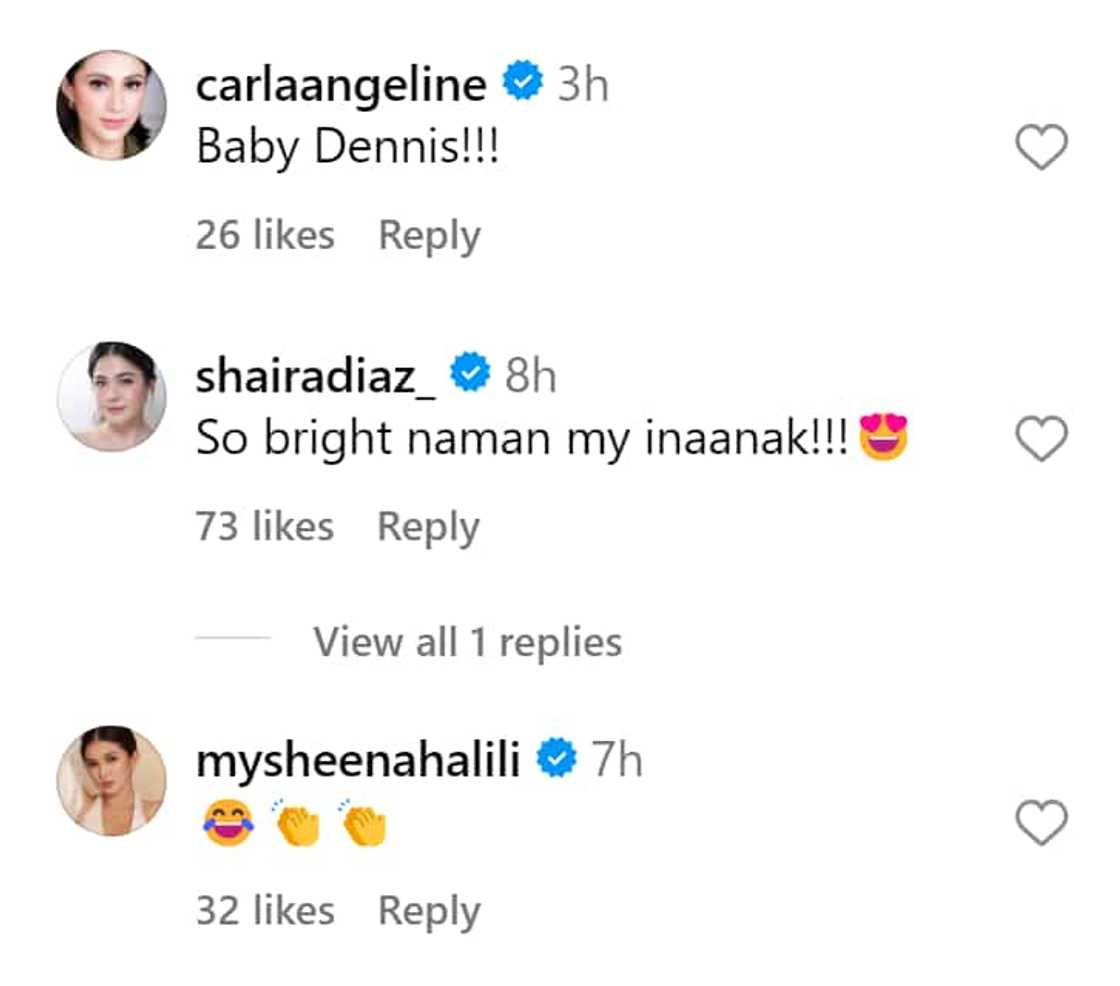 Jennylyn Mercado shares adorable video of daughter Dylan naming animals Jennylyn Mercado shares adorable video of daughter Dylan naming animals