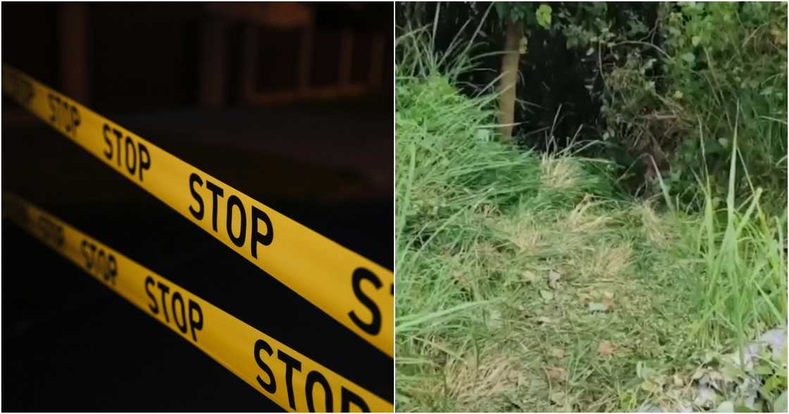 cottonbro studio on Pexels
Balitanghali/GMA-7/GMA Integrated News on YouTube cottonbro studio on Pexels
Balitanghali/GMA-7/GMA Integrated News on YouTube