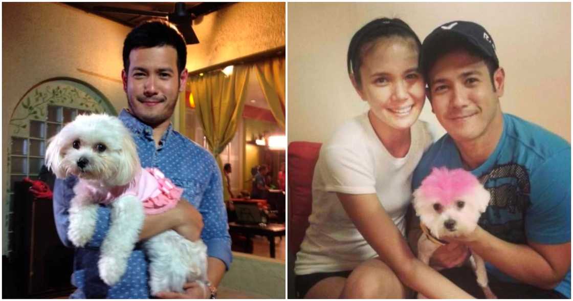 John Prats at Isabel Oli, labis ang pighati sa pagpanaw ng kanilang unang 'baby' na si Uber