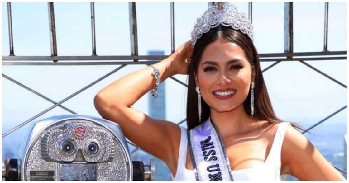 Andrea Meza wears Michael Cinco gown as she crowns Miss Universe 2021 Andrea Meza wears Michael Cinco gown as she crowns Miss Universe 2021