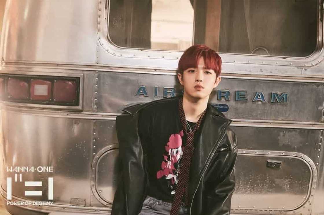 Wanna One members Wanna One members