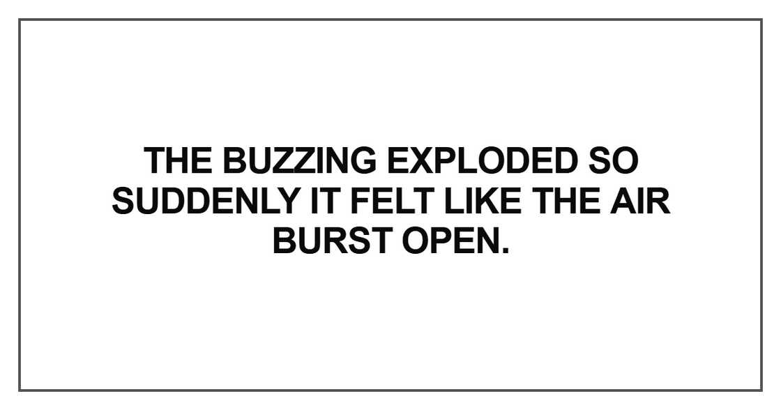 The buzzing exploded so suddenly The buzzing exploded so suddenly
