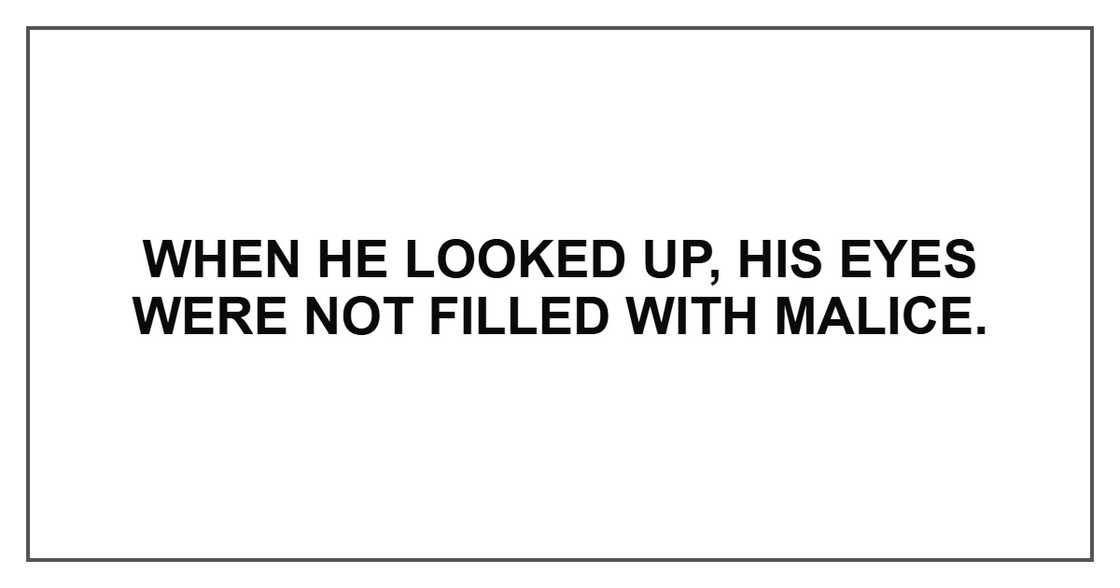 When he looked up, his eyes were not filled with malice.
