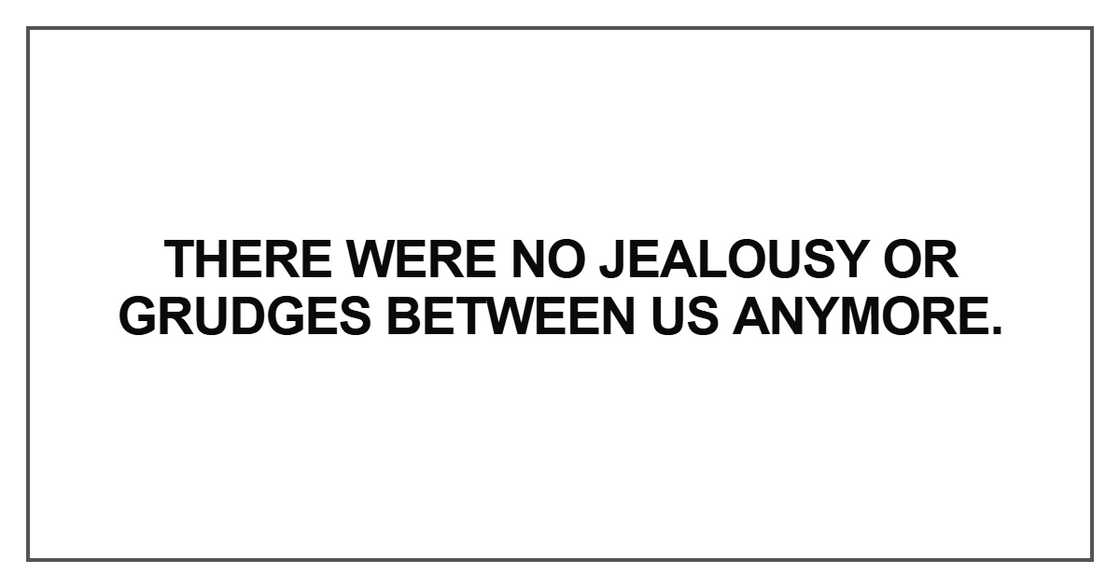 There were no jealousy or grudges between us anymore There were no jealousy or grudges between us anymore