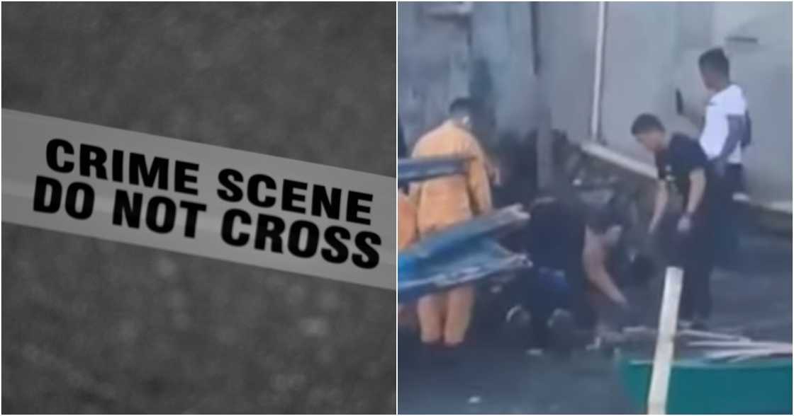 Mark D'aiuto on Pexels
Unang Balita/GMA-7/GMA Integrated News Mark D'aiuto on Pexels
Unang Balita/GMA-7/GMA Integrated News