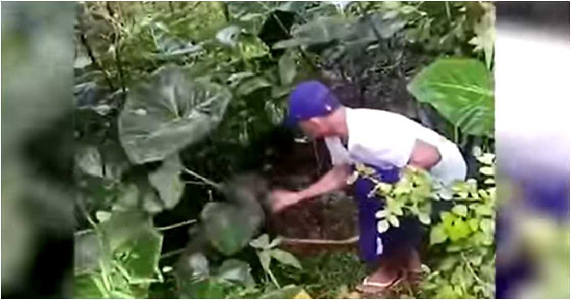 24 Oras/GMA 7/GMA News on Facebook 24 Oras/GMA 7/GMA News on Facebook