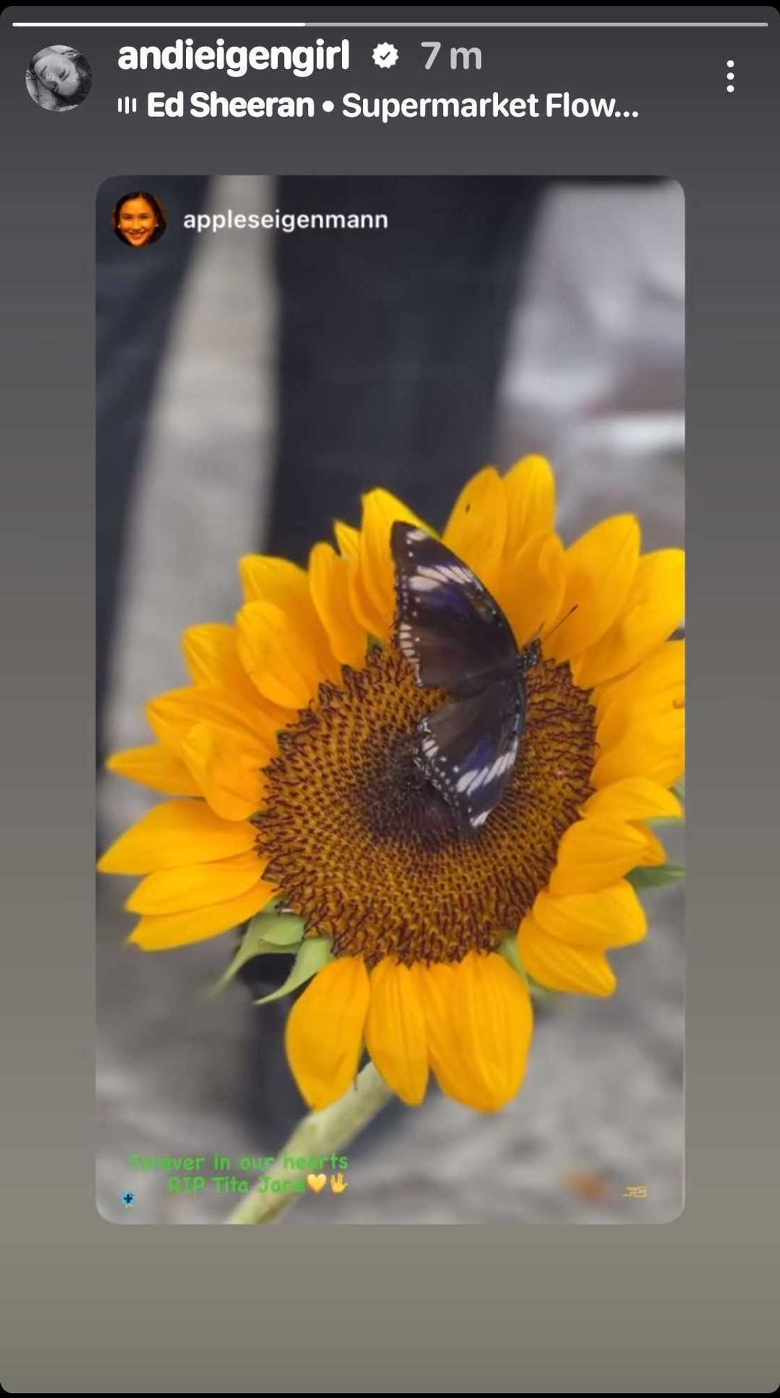Andi Eigenmann reshares heartfelt post of Gabby Eigenmann’s wife about Jaclyn Jose Andi Eigenmann reshares heartfelt post of Gabby Eigenmann’s wife about Jaclyn Jose