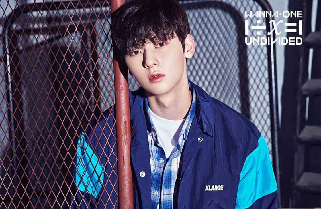 Wanna One members Wanna One members