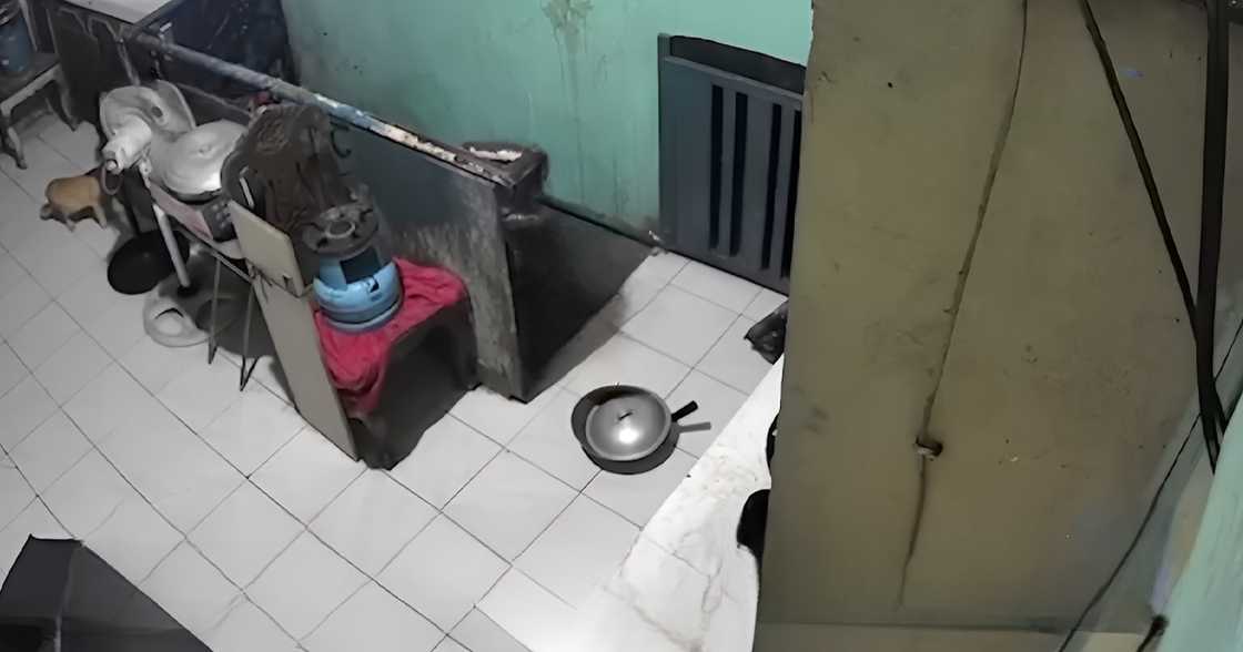 CCTV footage exposes security camera installer as suspect in Manila LPG tank theft