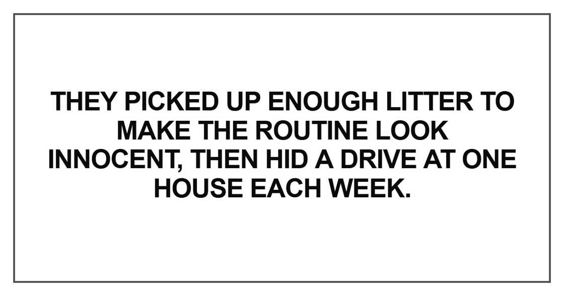 They picked up enough litter to make the routine look innocent They picked up enough litter to make the routine look innocent