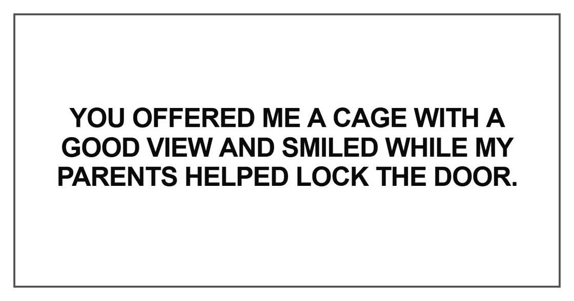 You offered me a cage You offered me a cage
