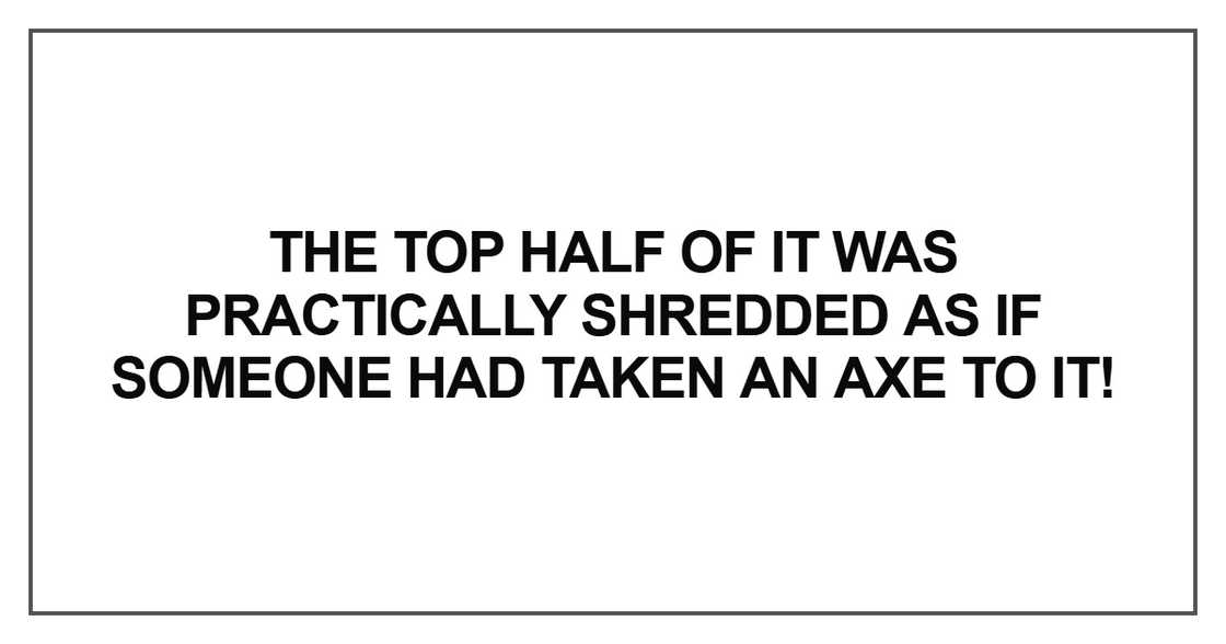 The top half of it was practically The top half of it was practically