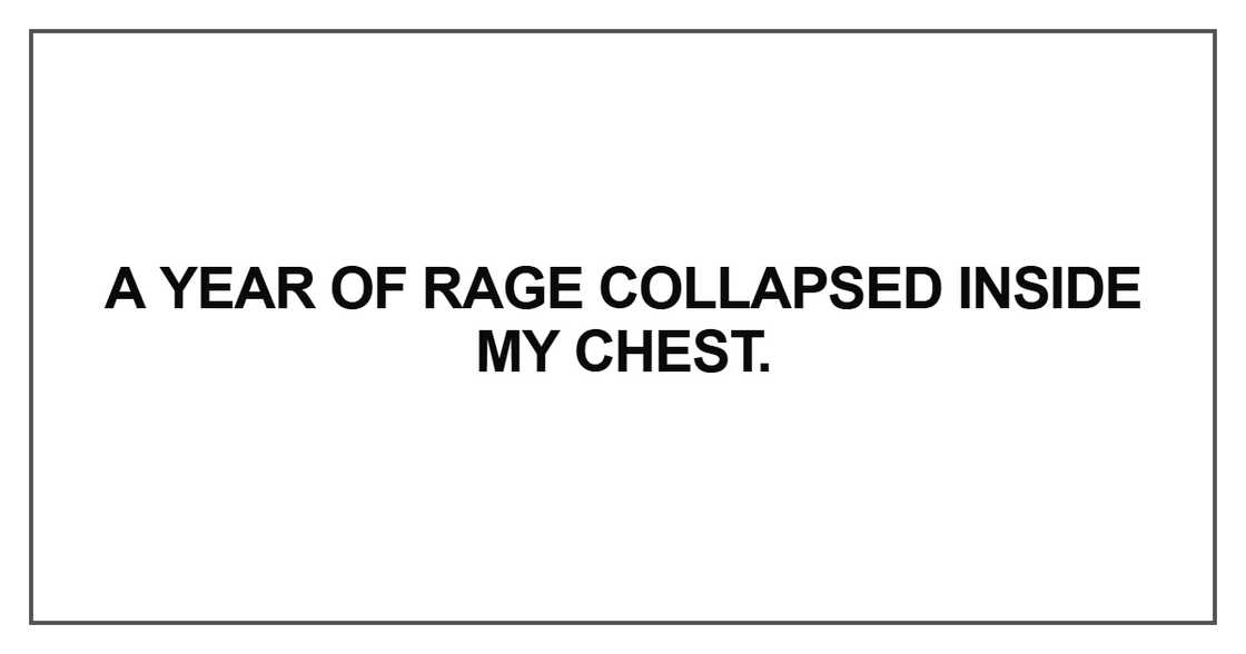 A year of rage collapsed inside my chest.