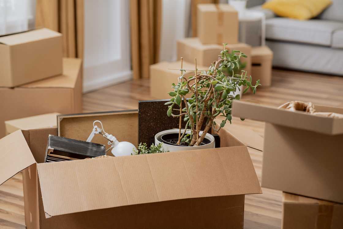 Boxes in a room during moving in
