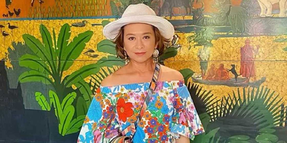 Karen Devila posts emotional reaction to news of Ces Drilon losing her job Karen Devila posts emotional reaction to news of Ces Drilon losing her job