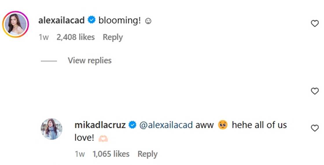 Mika dela Cruz/@mikadlacruz Mika dela Cruz/@mikadlacruz