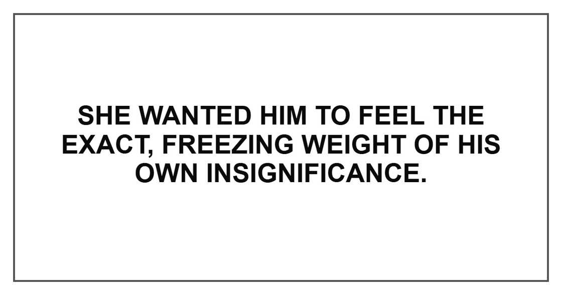 She wanted him to feel the exact, freezing weight of his own insignificance. She wanted him to feel the exact, freezing weight of his own insignificance.