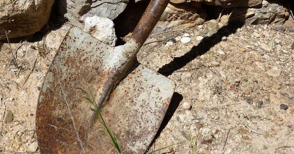 Photo: Pixabay Photo: Pixabay