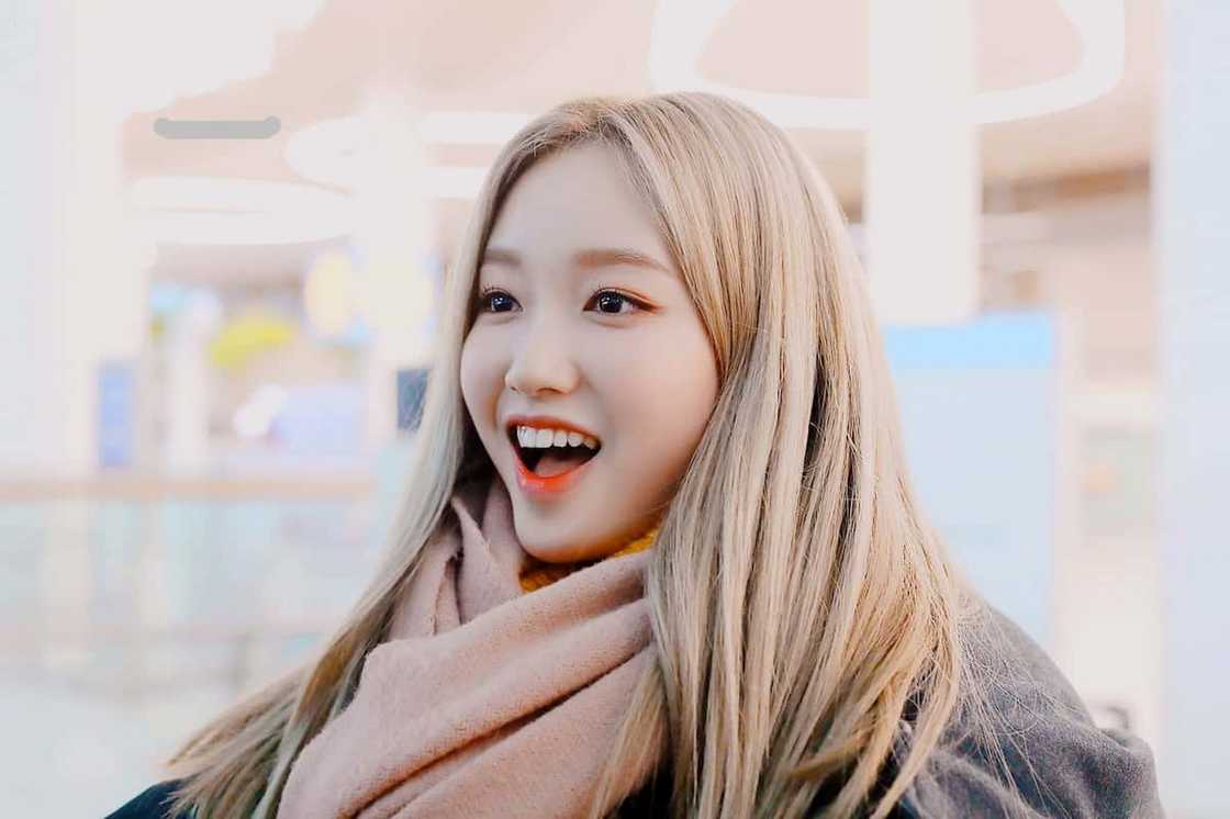 Loona album Loona album