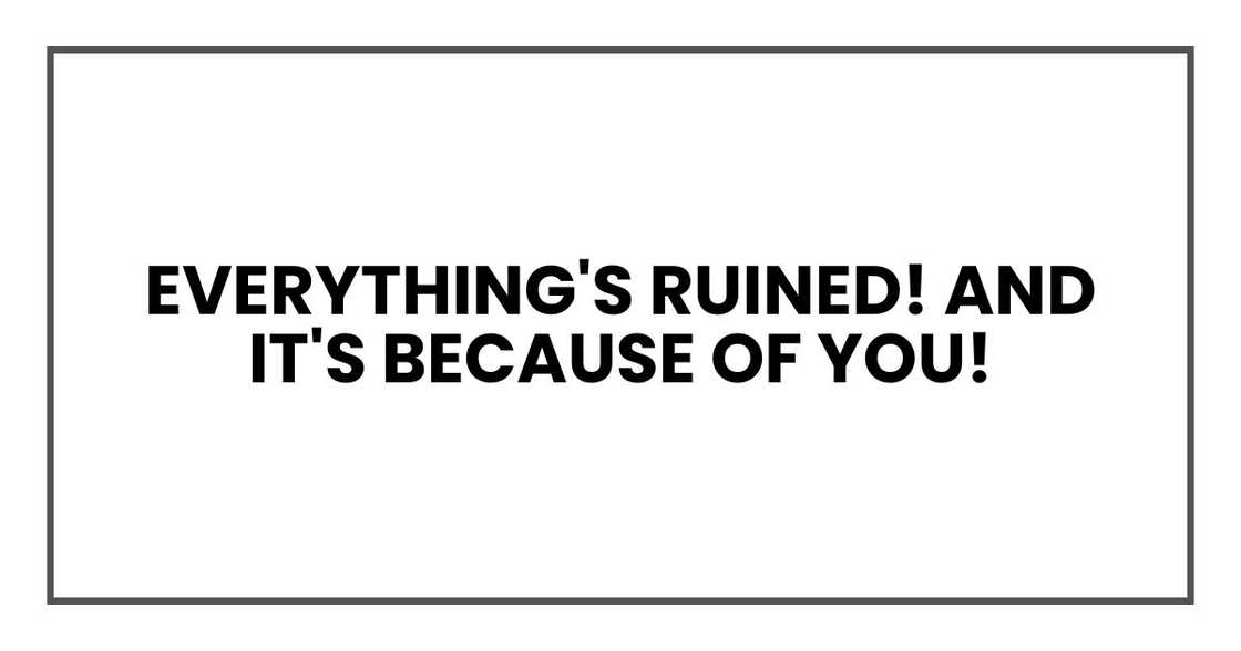 everything's RUINED! And it's because of you! everything's RUINED! And it's because of you!