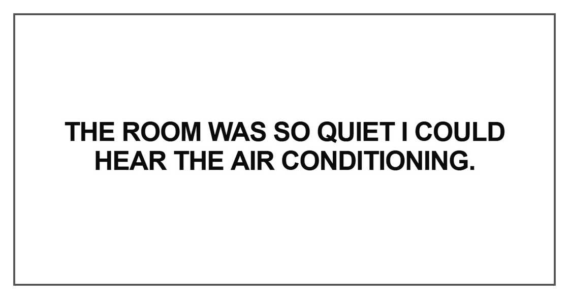 The room was so quiet The room was so quiet