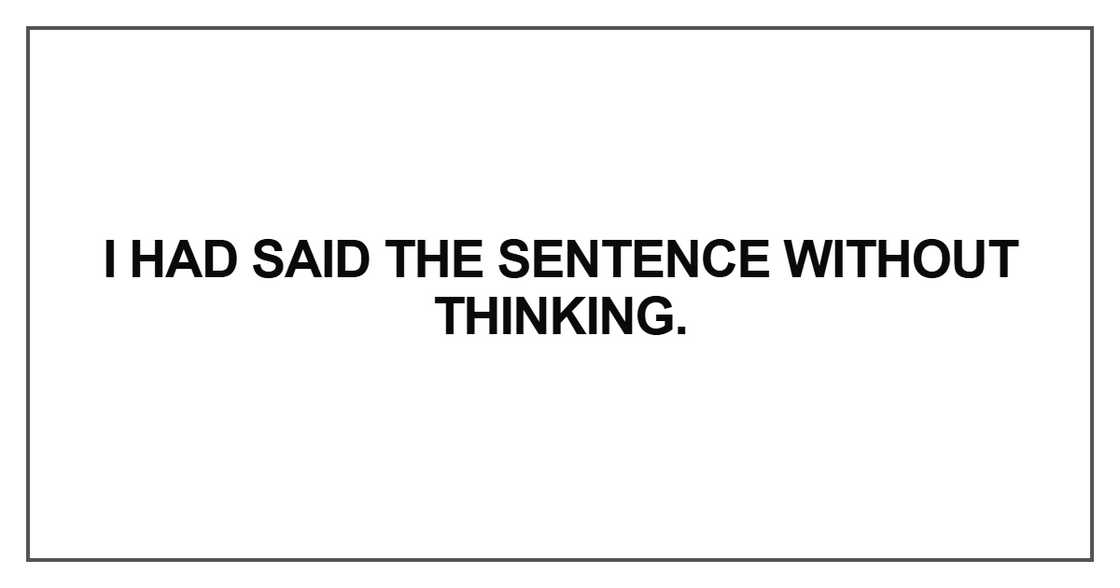 I had said the sentence I had said the sentence