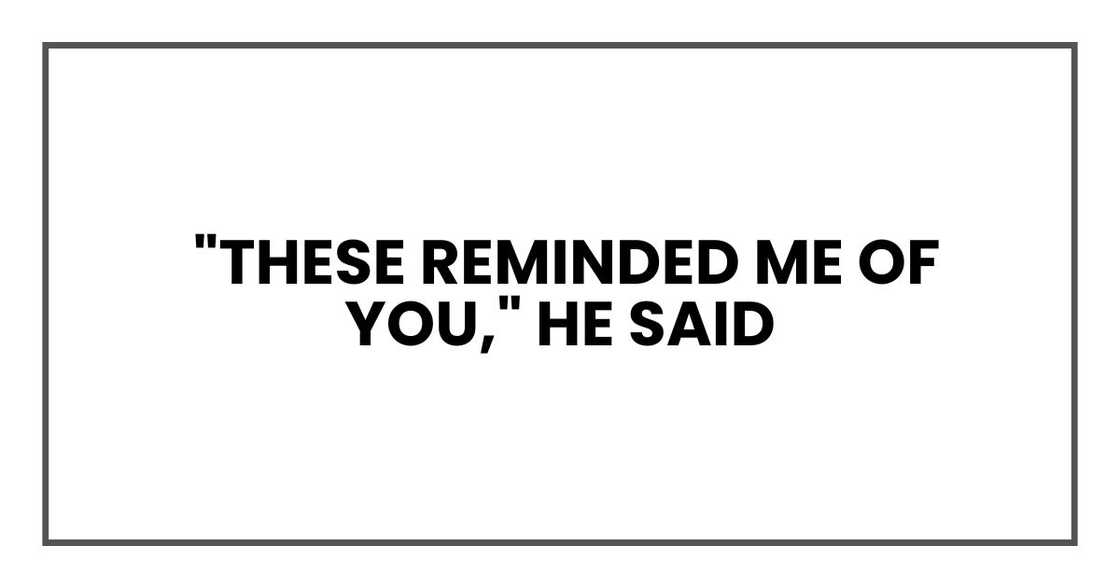 "These reminded me of you," he said "These reminded me of you," he said