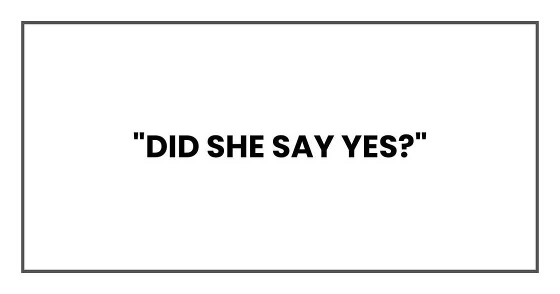 "Did she say yes?" "Did she say yes?"