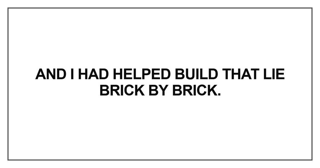 And I had helped build that lie brick by brick And I had helped build that lie brick by brick