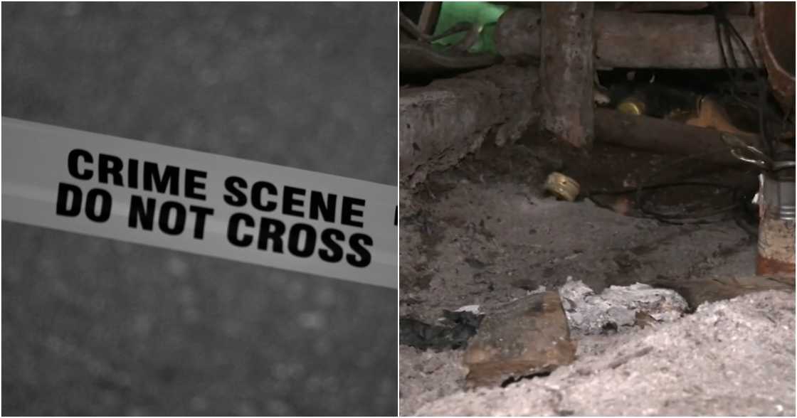 One Mindanao/GMA 7/GMA Regional Tv on YouTube
Mark D'auito on Pexels One Mindanao/GMA 7/GMA Regional Tv on YouTube
Mark D'auito on Pexels