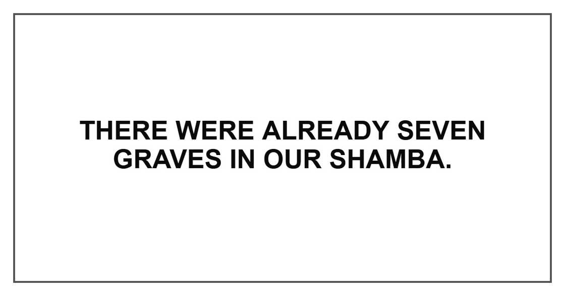 There were already seven graves in our shamba.