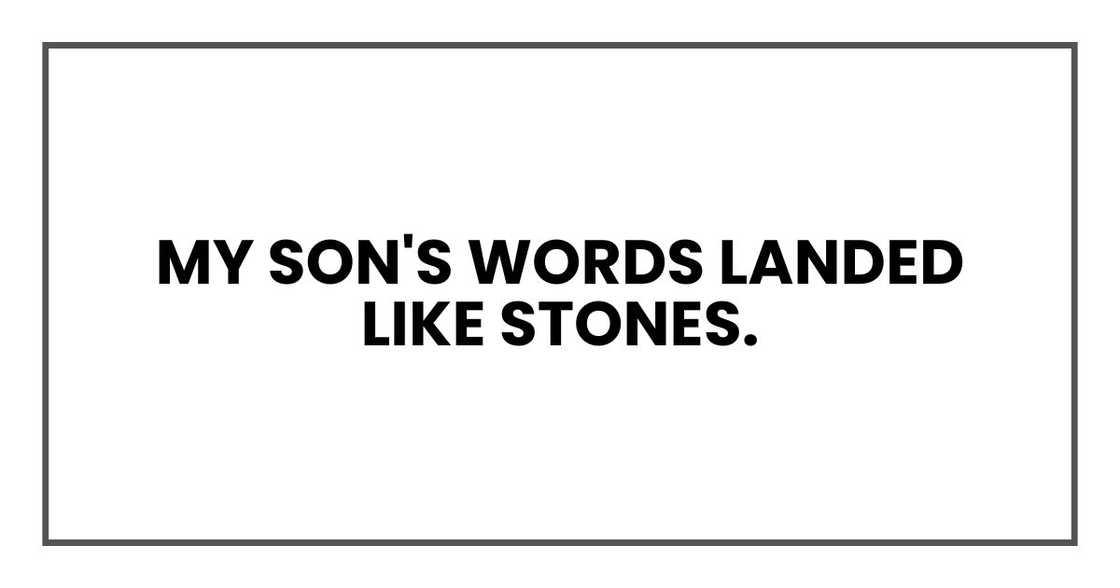 My son's words landed like stones.