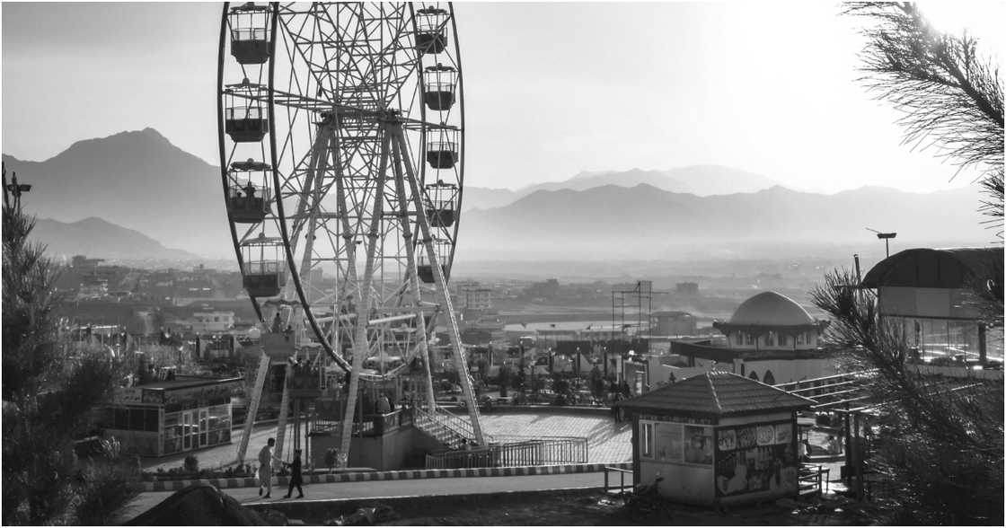 Suliman Sallehi on Pexels Suliman Sallehi on Pexels