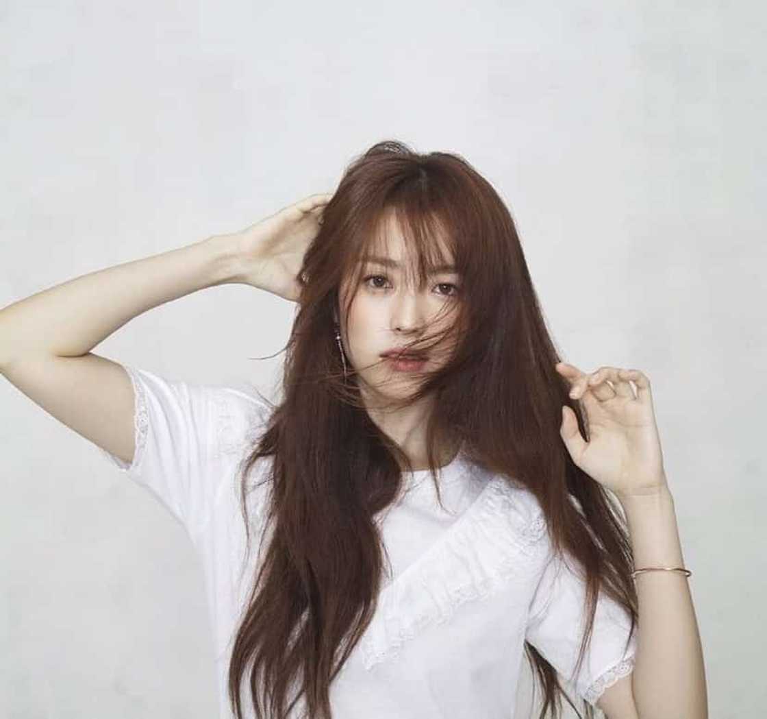 han hyo joo movies han hyo joo movies