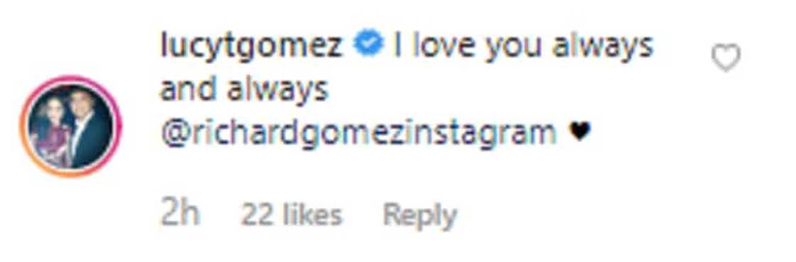 Richard Gomez shares clip of TV ad where he and Lucy Torres first met Richard Gomez shares clip of TV ad where he and Lucy Torres first met